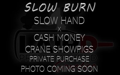 SLOW BURN